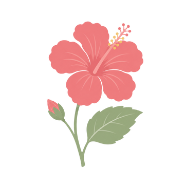 Hibiscus