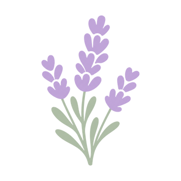 Lavandă