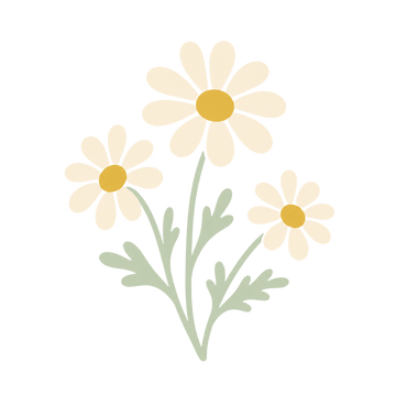 Mușețel